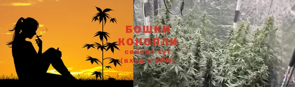 винт Белокуриха