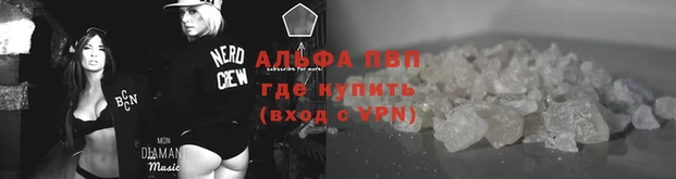 прущие грибы Семикаракорск