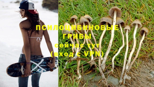 винт Белокуриха