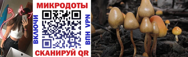 Галлюциногенные грибы мухоморы Борзя