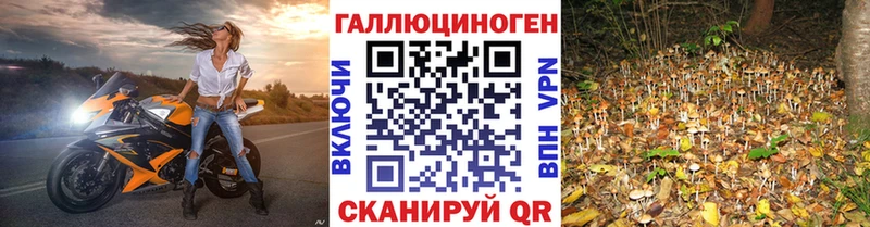 Псилоцибиновые грибы мухоморы  ОМГ ОМГ зеркало  Борзя  купить наркотики цена 
